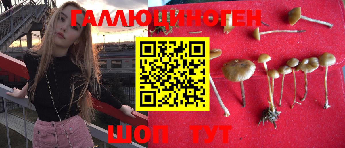 Псилоцибиновые грибы Magic Shrooms  магазин  наркотиков  Кохма  Вход с VPN 