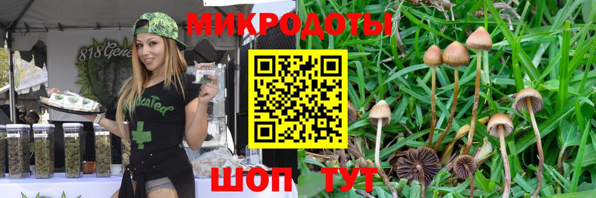 Псилоцибиновые грибы Cubensis Кохма